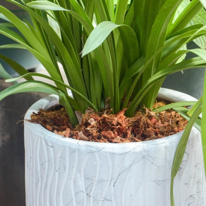 Coconut Coir Brick with Organi - Substrate Coconut Fiber recension och pris